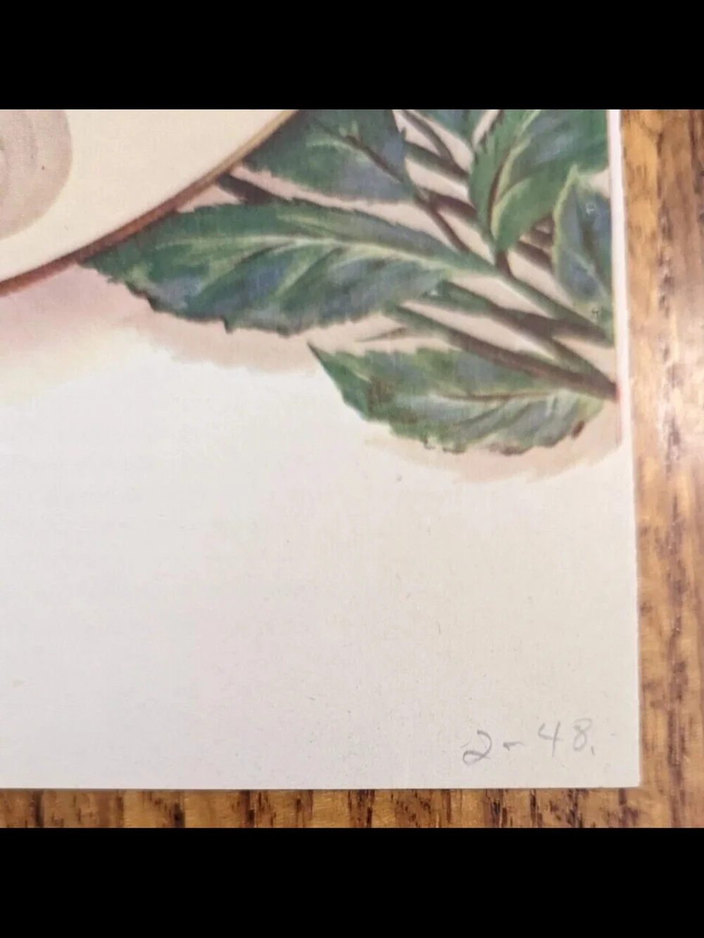 1948- Onondaga Pottery -Syracuse China- The Rose Room & Zenith Radio Magazine Ad